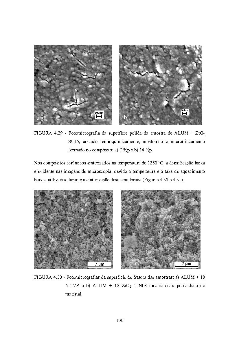 Index Of Col Sid Inpe Br Mtc M17 80 07 06 12 18 Doc Htmlpublicacao